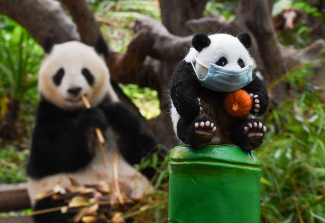 【新媒体】好久不见，甚是想念