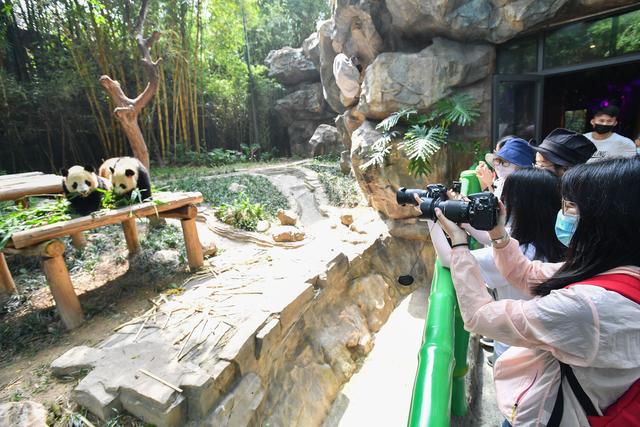 【新媒体】好久不见，甚是想念