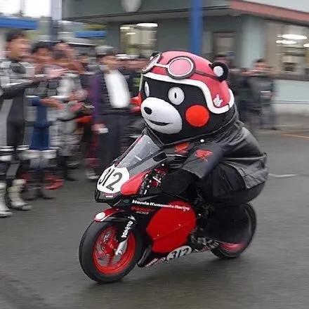 安全带@公安部下发通知!即将严查!