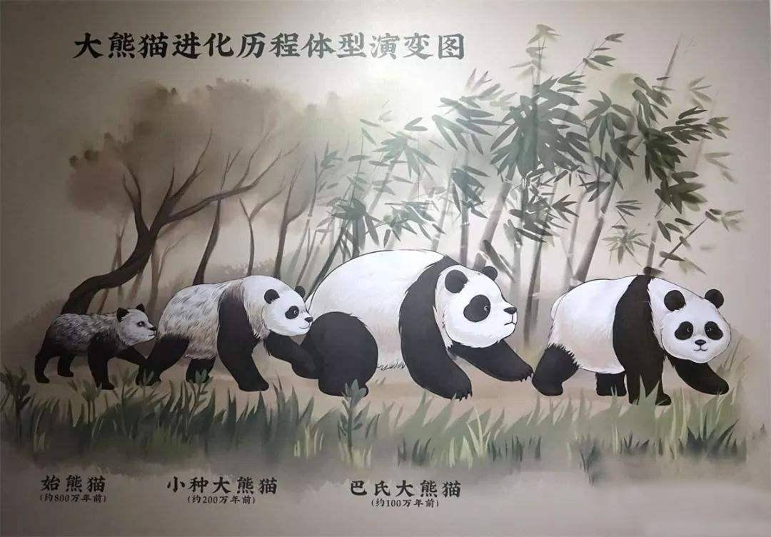 科学▲如果人类每天挥动双手，千万年后会演化出翅膀吗？