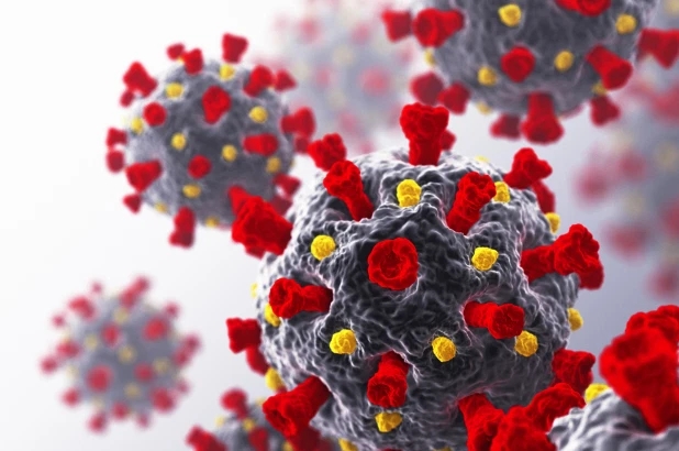 国际■美国疾控中心承认：多项失误导致感染人数飙升