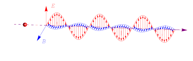 「科学」李治林：物理？生理？心理？——光与视觉「云里·悟理-第21课」