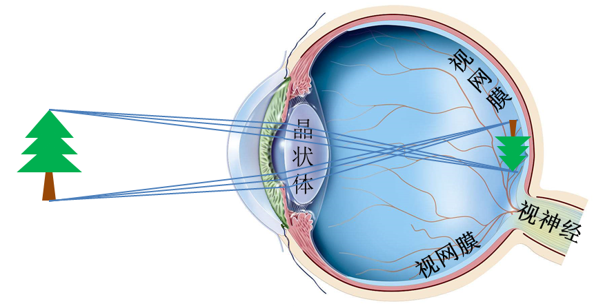 「科学」李治林：物理？生理？心理？——光与视觉「云里·悟理-第21课」