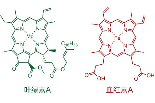 「科学」李治林：物理？生理？心理？——光与视觉「云里·悟理-第21课」