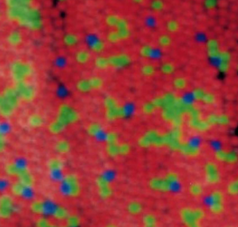 「科学」李治林：物理？生理？心理？——光与视觉「云里·悟理-第21课」