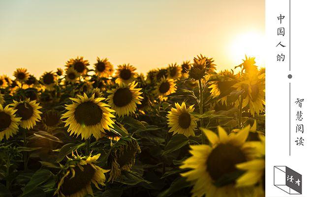 恋爱：我不会删你微信，但也不会再联系你了