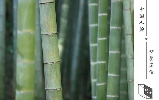 【诗歌】20句最美诗词:许时光静美,愿你我无恙