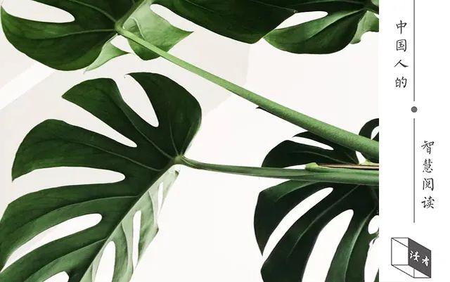 【诗歌】20句最美诗词:许时光静美,愿你我无恙