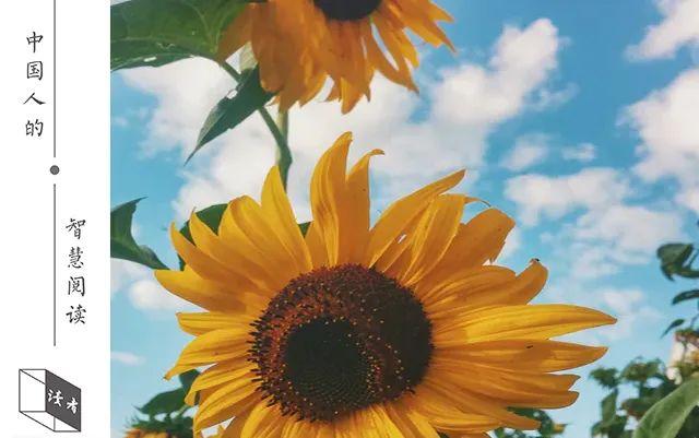 【诗歌】20句最美诗词:许时光静美,愿你我无恙