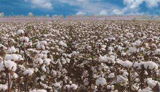 『核辐射』核辐射，你想知道的这里差不多都有