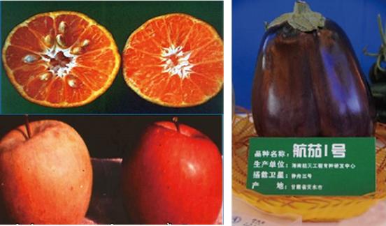 『核辐射』核辐射，你想知道的这里差不多都有