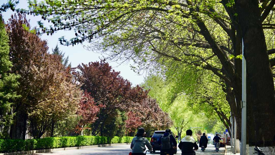 :“五一”假期前三天 全国接待国内游客8499.7万人次