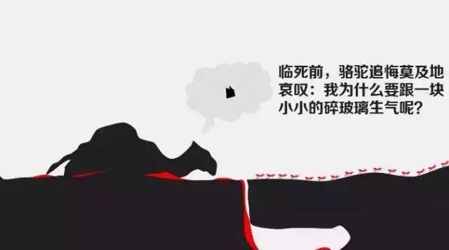 #农夫#与其抱怨，不如改变（建议所有人看看）