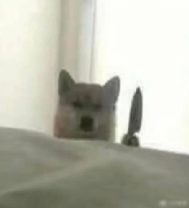 娱乐@爸爸一个字气哭女儿，全网爆笑：这不是我爸吗