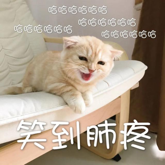 娱乐@爸爸一个字气哭女儿，全网爆笑：这不是我爸吗