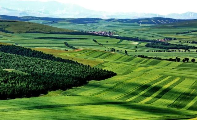 立夏■今日立夏,夏满华夏,情长人间