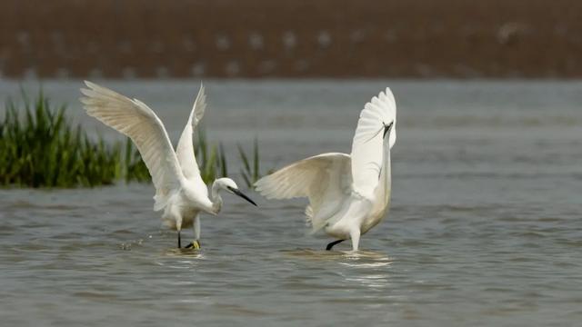 立夏■今日立夏,夏满华夏,情长人间
