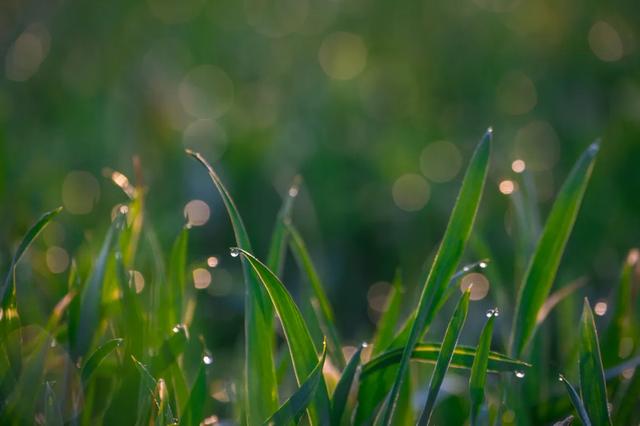 立夏■今日立夏,夏满华夏,情长人间