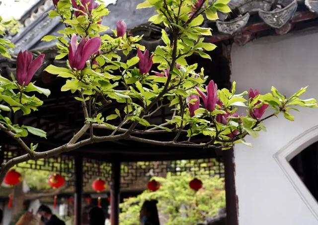 立夏■今日立夏,夏满华夏,情长人间