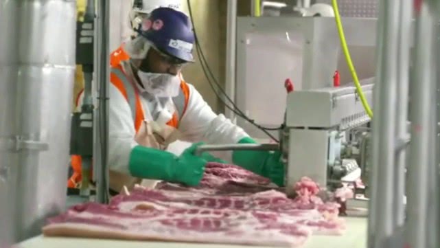 国际美国一肉类工厂116人感染，员工害怕失业，生病了也去上班
