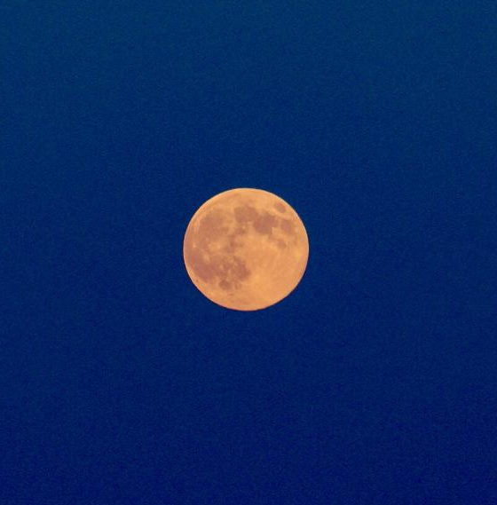 超级月亮请定好您的闹钟，本周！今年最后一个超级满月来袭