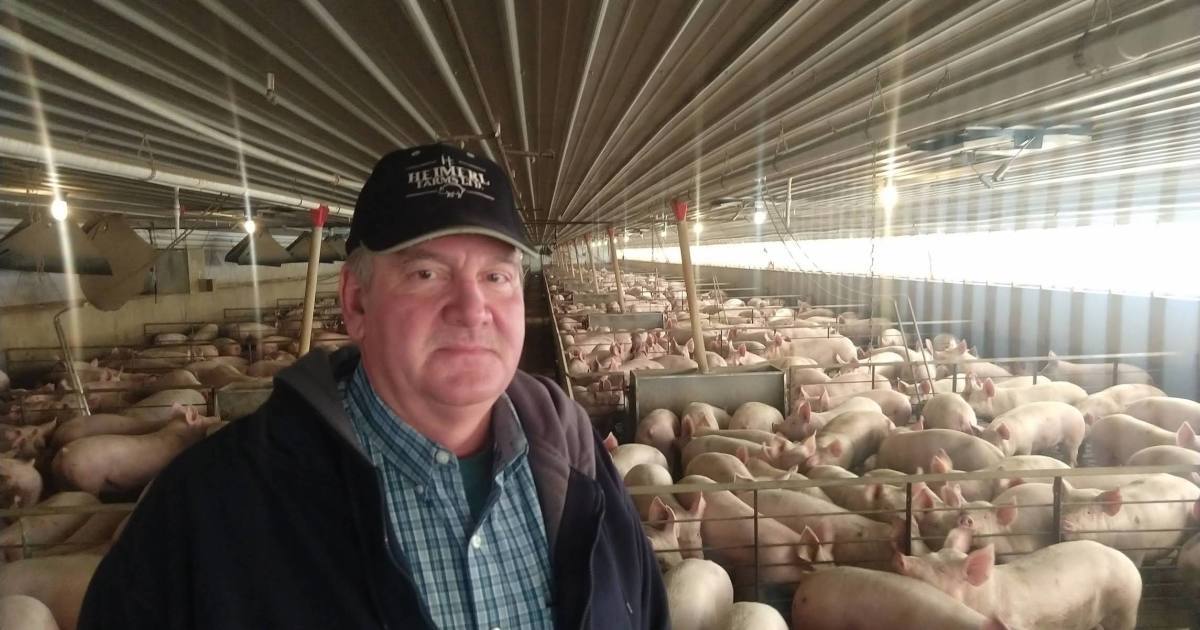 国际“培根得再省点儿吃”,美企登整版广告预警:食品供应链正在崩溃