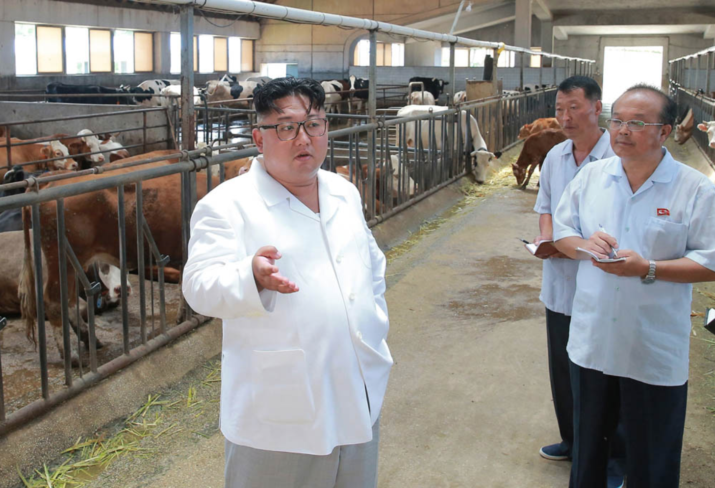 金正恩金正恩出任劳动党委员长4周年纪念日来临 多图感受朝鲜变迁和成果