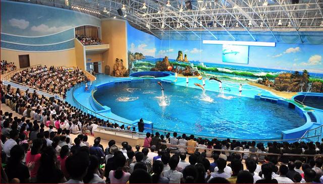 金正恩金正恩出任劳动党委员长4周年纪念日来临 多图感受朝鲜变迁和成果