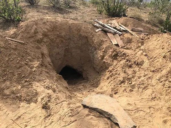 法制陕西“活埋母亲”男子被逮捕