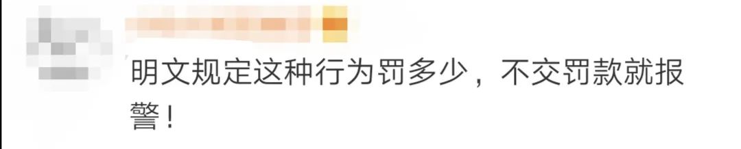 摄影为拍照强按孔雀还拔毛！网友：你的样子真丑