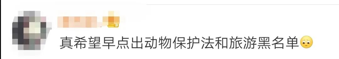 摄影为拍照强按孔雀还拔毛！网友：你的样子真丑