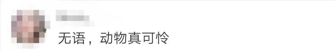 摄影为拍照强按孔雀还拔毛！网友：你的样子真丑