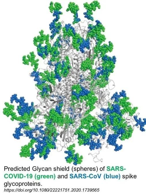国际新冠疫苗研发:我太难了!