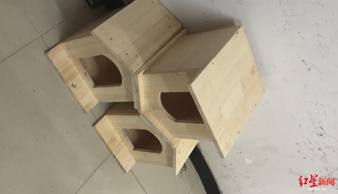 社会网传北京一小区“鸟因拉屎被毁巢”!居民称传言夸大,园林局已展开调查