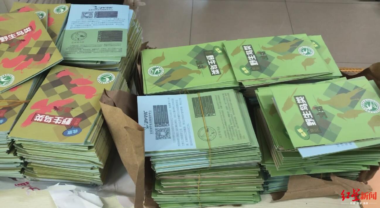 社会网传北京一小区“鸟因拉屎被毁巢”!居民称传言夸大,园林局已展开调查