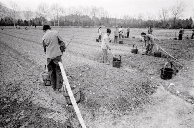 农民自己开垦荒地可以确权吗？种植作物能拿补贴吗？