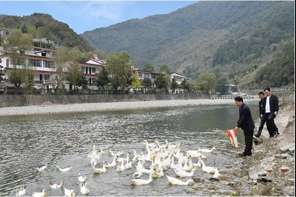 农民致富经_致富农民来谢恩_致富农民事迹登报纸