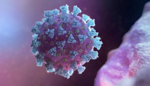 内政部德媒:德内政部官员写报告称新冠疫情是假消息 已被停职