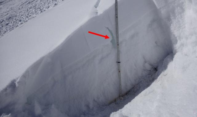 雪灾512防灾减灾日｜记住这些方法 遇到雪崩的存活率能提高80%