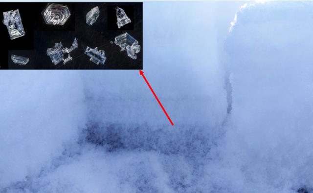 雪灾512防灾减灾日｜记住这些方法 遇到雪崩的存活率能提高80%