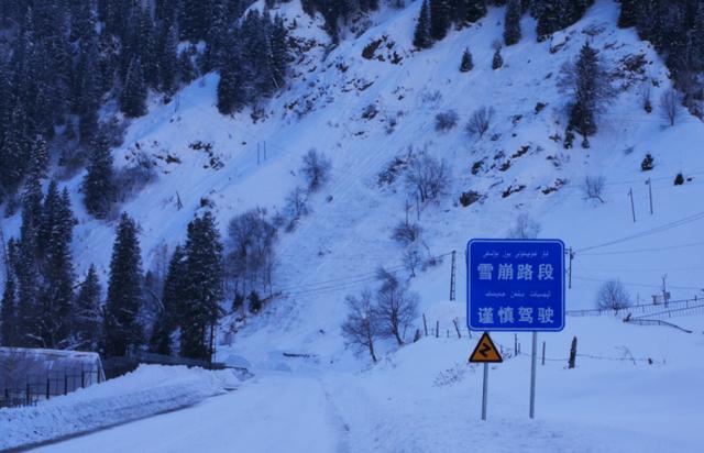 雪灾512防灾减灾日｜记住这些方法 遇到雪崩的存活率能提高80%