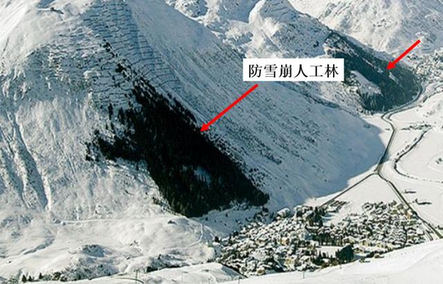 雪灾512防灾减灾日｜记住这些方法 遇到雪崩的存活率能提高80%