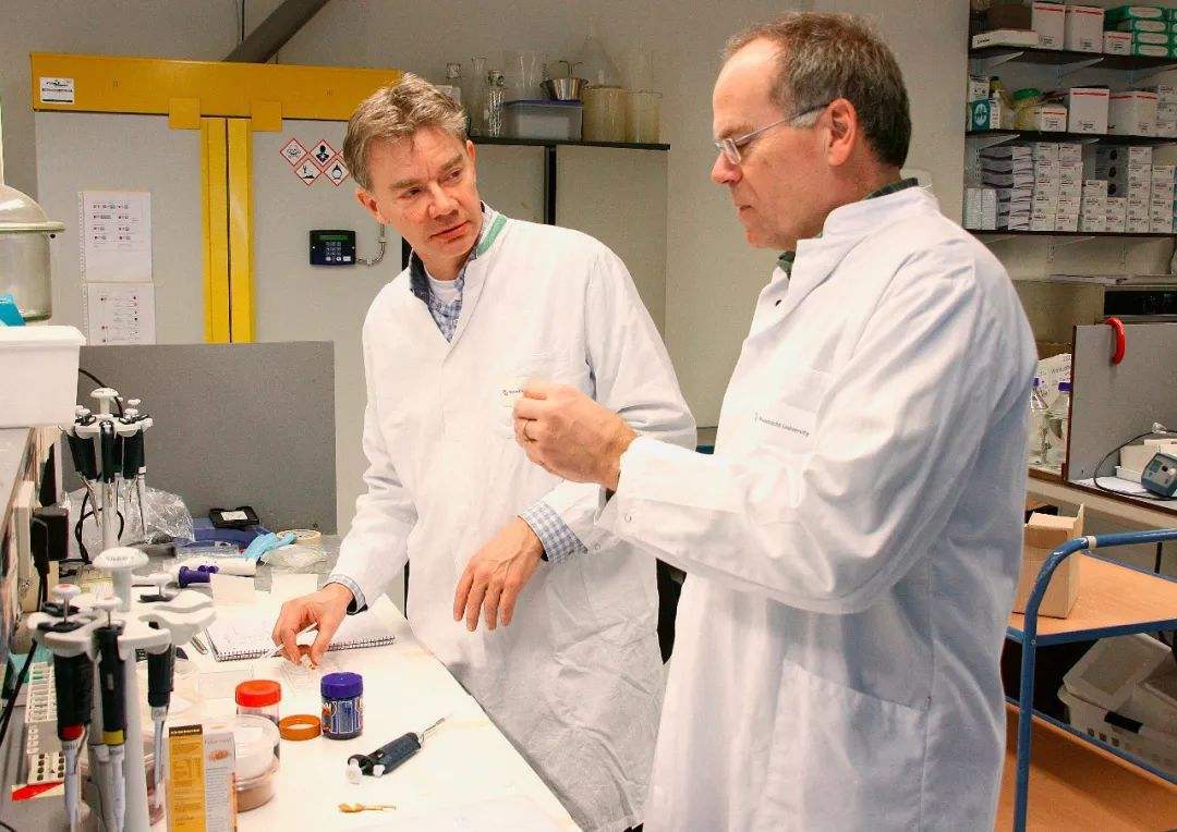 人造肉“人造肉”将上市，能缓解猪肉荒吗？对人类有什么危害吗？