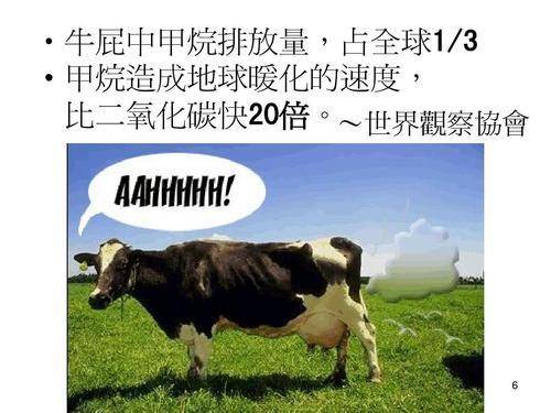 人造肉“人造肉”将上市，能缓解猪肉荒吗？对人类有什么危害吗？