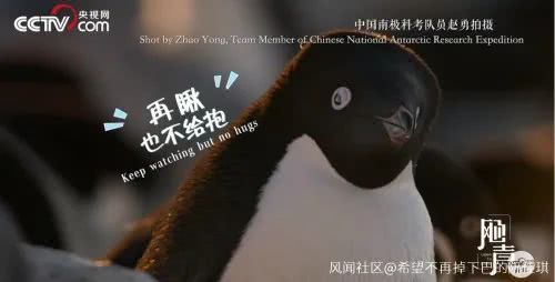 南极中国站在南极种菜，蹭吃蹭网的俄罗斯站这么礼尚往来……