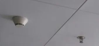 科学平时不起眼，危机时刻有了它们能救命！