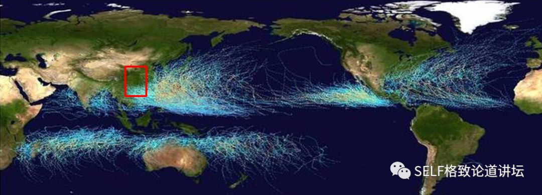 台风在南海的生态的影响  特别明显