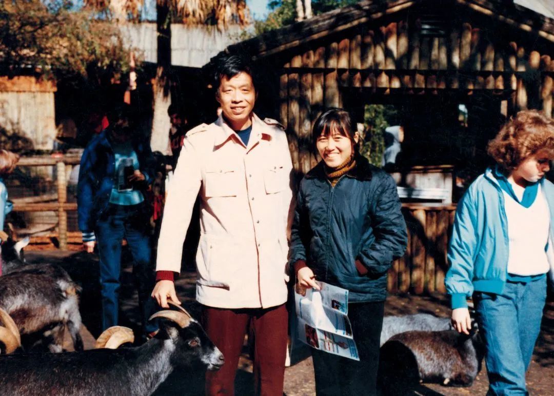 王小波一生至少读一次王小波，你才相信人间值得｜百家故事