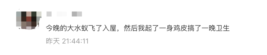 白蚁你家被飞虫大军空袭了吗？防治大招赶紧收藏！