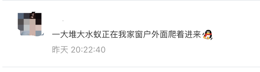 白蚁你家被飞虫大军空袭了吗？防治大招赶紧收藏！